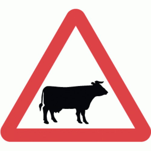 cattle likely to be in road traffic sign