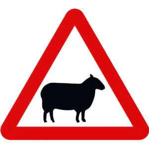 sheep likely to be in road ahead triangle warning sign for road users